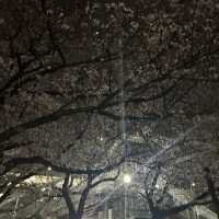 3月も有難うございました！