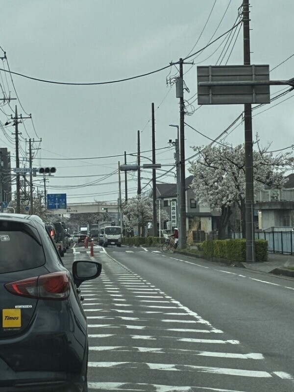 申し訳ございません<(_ _*)>