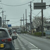 申し訳ございません<(_ _*)>