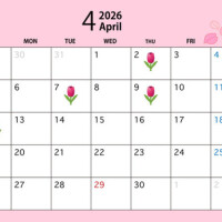 4月の出勤予定🌷(改めてのお知らせ)