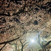 明日のご予約🙏🏻✨