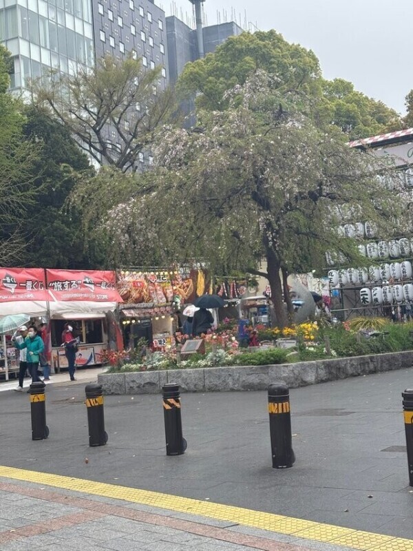 出店