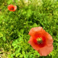 明日のご予約ありがとうございます♡