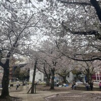 またまた緊急出勤♥