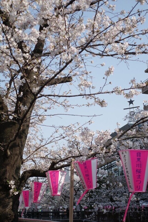 春🍀🌸