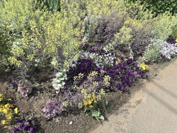 「はじめまして」の巻🌼*･