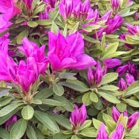 松戸Ｋさんへ💌♡