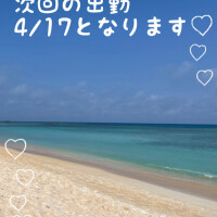 探してください笑