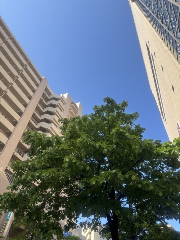 良い天気だにゃ〜☀️