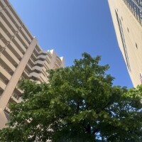 良い天気だにゃ〜☀️