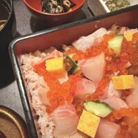 海〜〜魚〜〜るるる〜〜