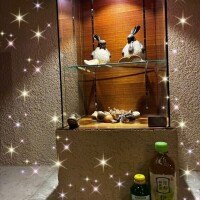 お礼(՞_  ̫ _՞)"本Nさま◡̈⃝˖*