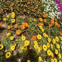 Ａさん❣️💌✨