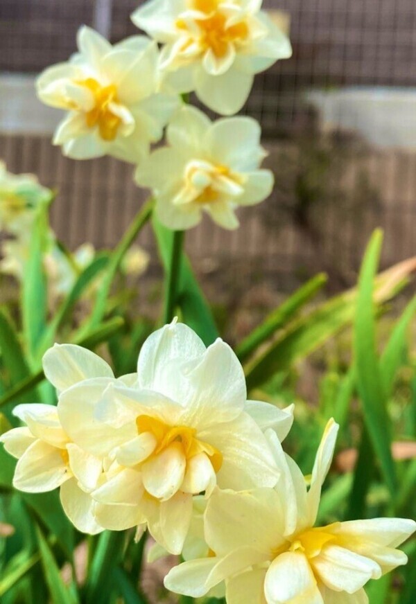 明日のご予約ありがとうございます♡