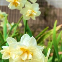 明日のご予約ありがとうございます♡