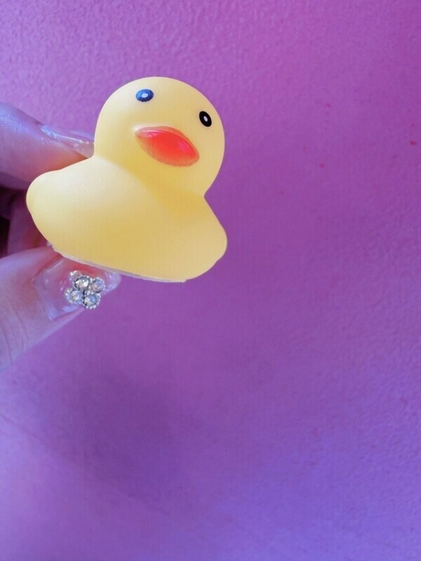 🐥限定1名様🐥