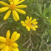 御礼日記＊MTSTさま