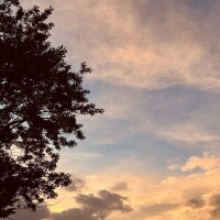 「努力は必ず報われる」わけはない