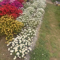 のんびり、まったりday🙂‍↕️🌷➰