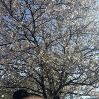 前日予約嬉しいな✨✨