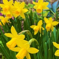 明日のご予約ありがとうございます♡