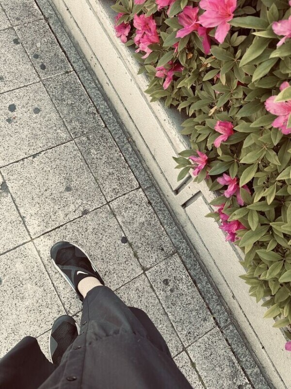ぽんさ🌷