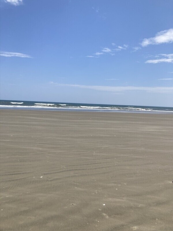 T様有難う✨次回もお誘い待ってます！
