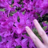 土曜日Ｋくん💌♡