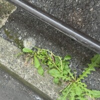 スケジュール間違え😖