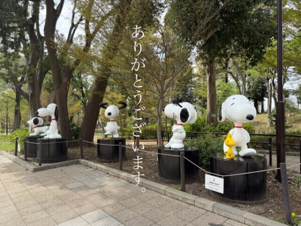 御予約ありがとうございます