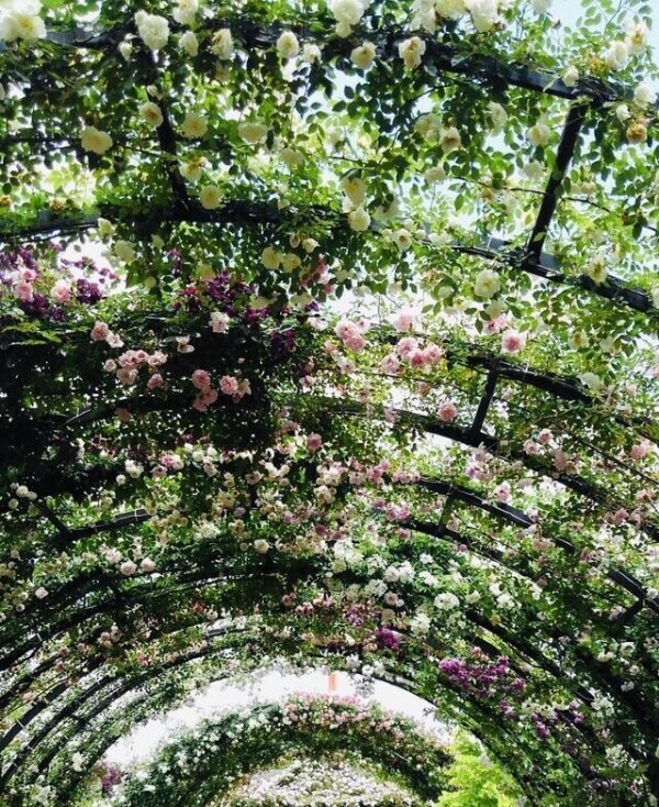 ラスト枠空いてます