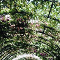 ラスト枠空いてます