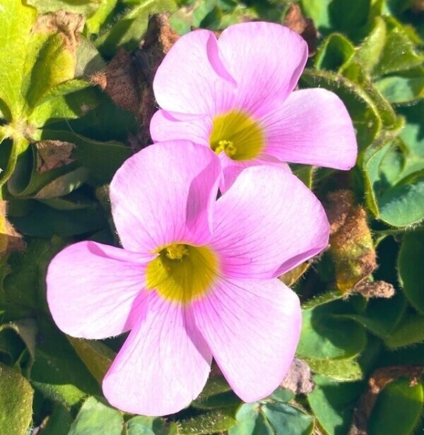 明日のご予約ありがとうございます♡