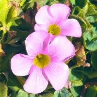 明日のご予約ありがとうございます♡