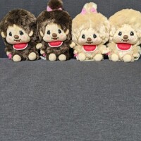 本日満員御礼ありがと♡