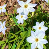 おはようございます♡