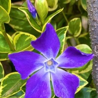 おはようございます♡