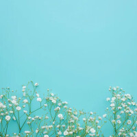 今週の予定です