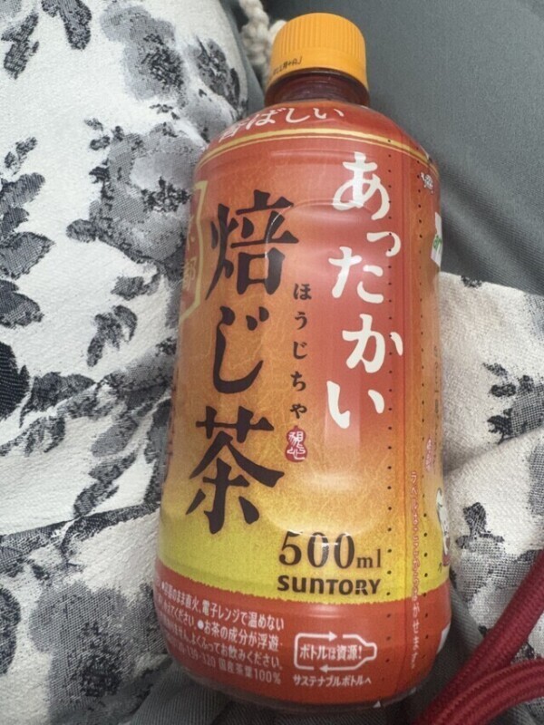 今日はあったかいほうじ茶❣️