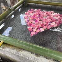 初対面な感じしなかったー