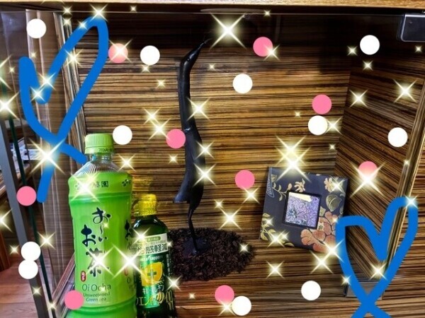 お礼(՞_  ̫ _՞)"本Nさま◡̈⃝˖*