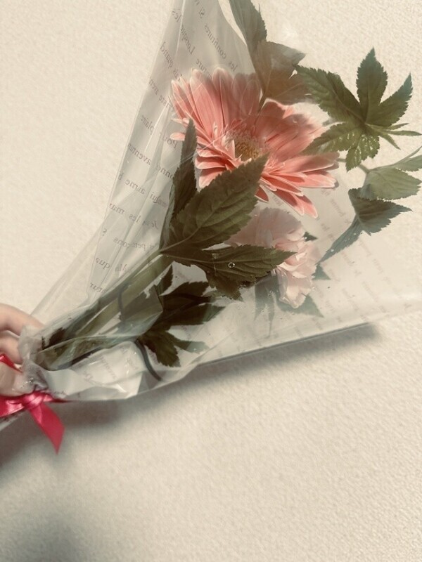 花びらのように〜〜🌼