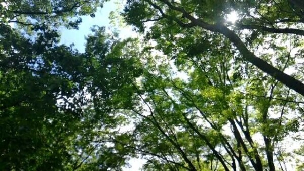 りあの日常を🌳👒
