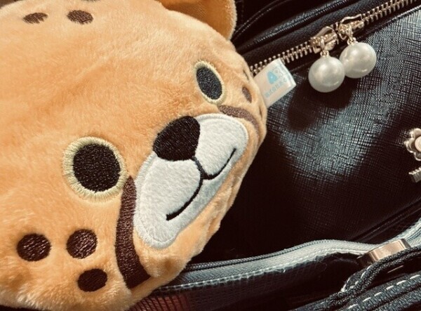 おはトラ〜〜🐯☀