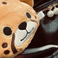 おはトラ〜〜🐯☀