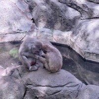りあもこれしたい🥺🥺
