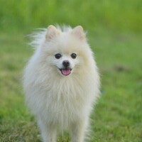 これからよろしくお願いします。