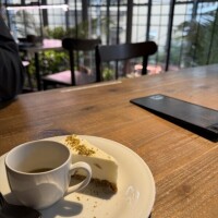 今日も