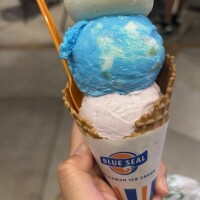 半月ぶりの出勤！！！