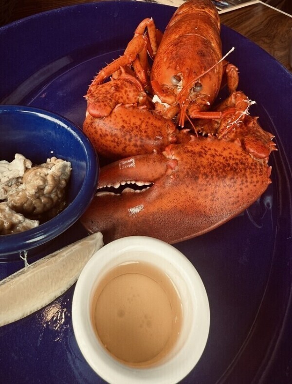 戦ってきた🦀🔪